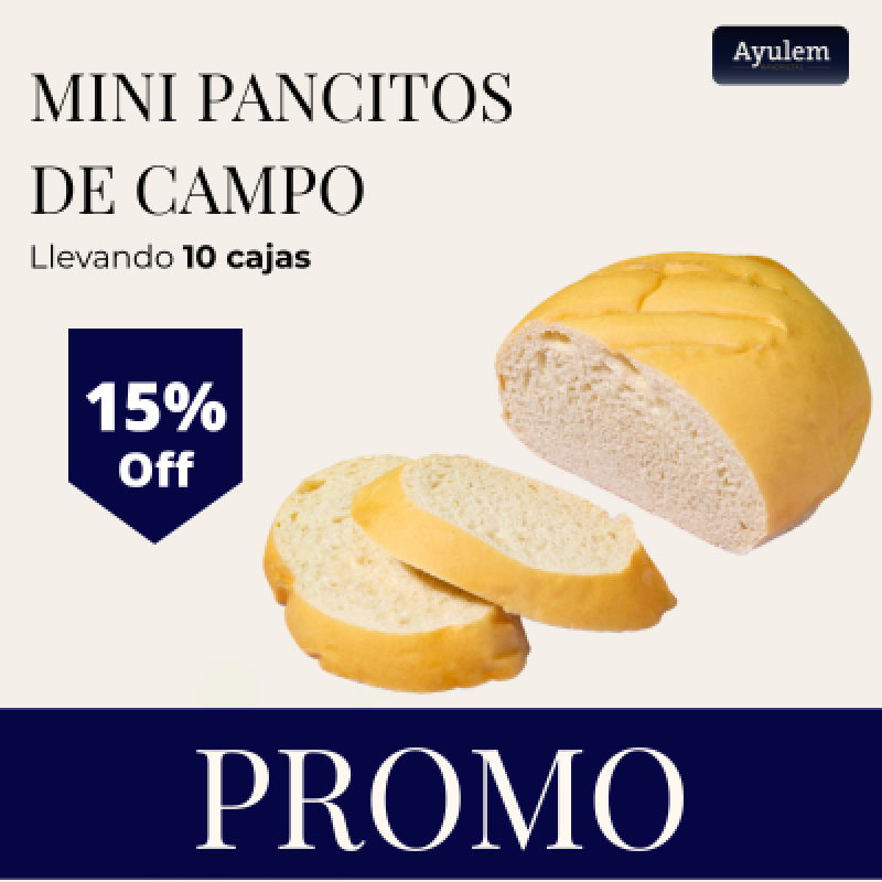 Promo 10 cajas mini pancitos de campo